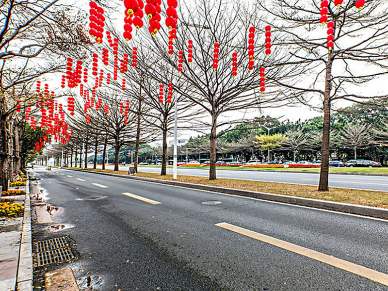 沥青路面 